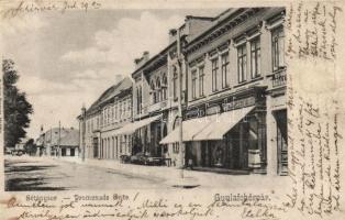 Gyulafehérvár Sétánysor, Klein D. üzlete / promenade, shop (fl)