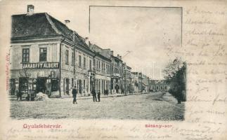 Gyulafehérvár Sétánysor, Jakabffy Albert üzlete / promenade, shop