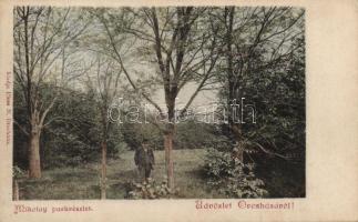 Orosháza, Mikolay park