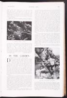 1911 A Country Life amerikai életmódmagazin negyed évfolyama vászonba bekötve. Sok képpel /
1911 Cou...