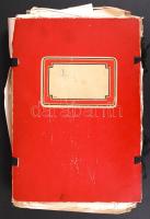 Béni Zoltán: A vérző élet c. kiadatlan regényének kézirata 420 gépelt oldal