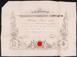 1883 A kir. Maygar természettudományi Társulat tagsági oklevele Hollósy Iván részére. Rossz állapotban 61x46 cm