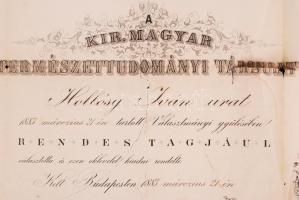 1883 A kir. Maygar természettudományi Társulat tagsági oklevele Hollósy Iván részére. Rossz állapotb...