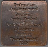 1985. "Budapesti Tavaszi Fesztivál" Br szögletes kétoldalas plakett (71x71mm/465g) T:2