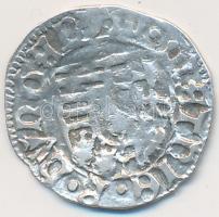 1482-1486. Denár "I. Mátyás" (0,46g) T:2
Huszár 719.,Unger I.: 565.b