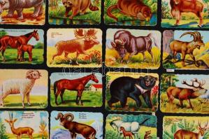 cca 1930 45db litho állatkép több nyelven feliratozott kártyákon / 
Lithography animal cards, 6x8cm