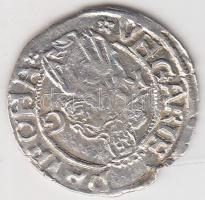 1519K-G Denár Ag "II. Lajos" T:2
Huszár 841.,Unger I.: 673.m