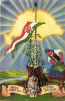 10 db modern, kiváló állapotú irredenta lap / 10 modern irredenta cards, excellent quality