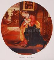 A boldogságos Szűz Mária élete, tisztelete, szenthelyei, legendái. Szerk. Lévay Mihály választott pü...