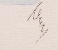 Nagy Árpád Dániel (1922-1985): 9db jelzett grafikája, 6 db rézkarc, 3 db fametszet