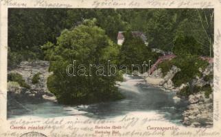 Herkulesfürdő, Cserna-part / creek, Divald (fa)