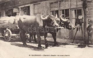 Thessaloniki, an oxen cart (fa)