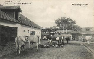 Nagyvárad Nogáll Szent Vince Intézet, gazdaság / church mansion