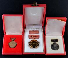 ~1970. "Szakszervezetek Országos Tanácsa" arany fokozatának kitüntetése, szalagsávon minia...