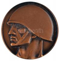 Bozó Gyula (1913-2004) 1991. "60 éves a Magyar Óceánrepülés" Br emlékérem T:1 + 4db klf &q...