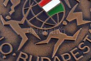 Bozó Gyua (1913-2004) 1994. "Haranghy Jenő születésének 100. évfordulójára" ezüstözött fém...