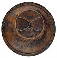 Lapis András (1942-) 1975. "A Magyar Onkológusok Társaságának Krompecher Ödön Emlékérme" n...