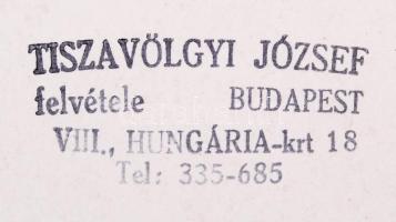 1950-60 Tiszavölgyi József 11 db életképe, vintage fotók, a képek többsége feliratozott, kfl méretbe...