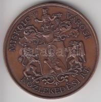 1997. "100 éves a villamosközlekedés Miskolcon" Br emlékérem (42mm) T:2