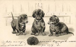 Dogs, Emb. litho