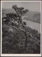 Cca 1950 Reismann Mariann (1911-1991): Dunakanyarban. Vintage fotó, aláírva, 24x18 cm