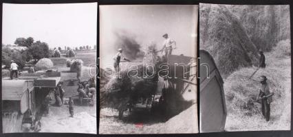 1940 Korschelt Miklós (1900-1982): Cséplés. 3 db vintage fotó, hátoldalán feliratozott (a készítés adataival), 24x18 cm