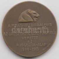 Murányi Gyula (1881-1920) 1915. "A Krasniki diadalmas csatában az oroszoktól elvett ágyúból verette az Auguszta-Alap" Br emlékérem (21mm) T:2