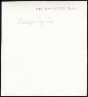 cca 1930 Kinszki Imre (1901-1945): Rezgőnyár. Vintage fotó, hátoldalán pecséttel jelzett, 11x11cm