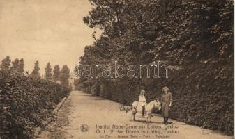 9 db régi, belga városképes lap, benne egy Mons leporello / 9 Belgian postcards, between them Mons l...