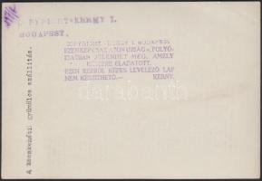 cca 1920 Kerny István (1879-1963): A kecskeméti gyümölcs szállítás. Vintage szociófotó, hátoldalán p...