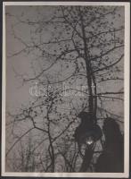 cca 1932 Kinszki Imre (1901-1945): Verebek. Vintage alkotás, hátoldalán szerzői pecséttel, 17x12cm (a szerző hagyatékából)