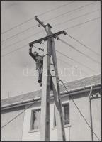 cca 1950 Ék Sándor (1902-1975) Kiskunhalason készített vintage fotója, 13x18cm