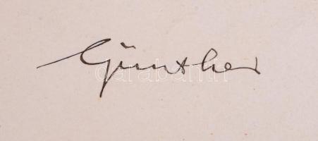 1908 Ítélőtáblai bírói kinevezés Günther Antal igazságügyminiszter saját kezű aláírásával hozzá a ki...