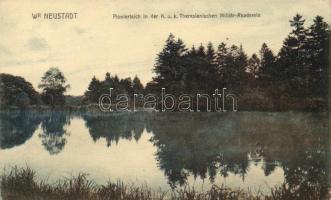 Wiener Neustadt - 5 postcards