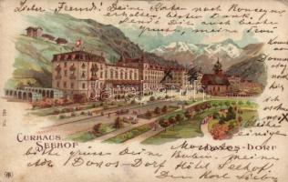 Davos Curhaus Seehof / sanatorium litho (fl)