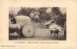 Cochinchina, Indians, Buffalo, folklore (EK)