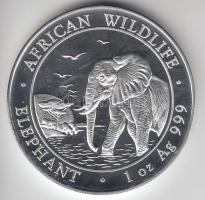 Szomália 2010. 100Sh Ag "Afrika vadvilága-elefánt" T:PP Somalia 2010. 100 Shillings Ag "African Wildlife-elephant" C:PP