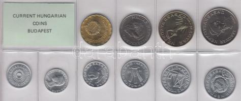1988. 2f-20Ft 10db klf érmés forgalmi sor fóliatokban T:1