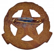 1961. "Díszszemle" zománcozott jelvény T:1