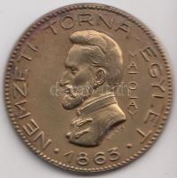 Sóváry János (1895-1966) DN. "Nemzeti Torna Egylet - 1863 - Matolay / Épség - Erő - Egyetértés" Br emlékérem (30mm) T:2