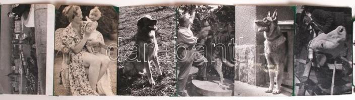 1950-1980 40db vintage fotó leporellóba ragasztva Tiszavölgyi József hagyatékából(a fotók többsége p...