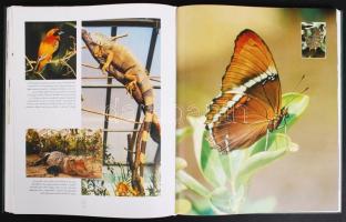 2001 Ablak a természetre, évszázadok állatkertje Budapesten. Szerk.: Mirtse Áron és Mirtse Zsuzsa, B...