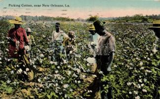 Folklore, picking cotton near New Orleans