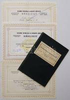 3db üzletrészjegy+érdekeltségi könyvecske