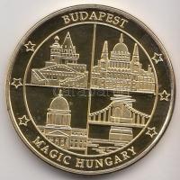 2011. "Budapest Sziget Fesztivál" aranyozott emlékérem (32mm) T:PP