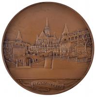 Berán Lajos (1882-1943) 1931. "Budapesti Emlék" Br emlékérem (80mm) T:2