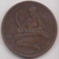 Berán Lajos (1882-1943) 1925. "Jókai Mór - A Nagy mesemondónak hálás nemzete" Br emlékérem...