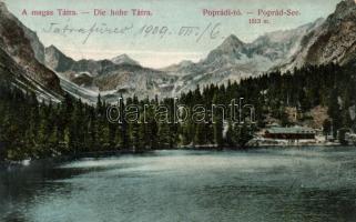 Tátra Poprádi-tó, Divald