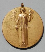 1920-as évek?! "Székesfőváros Katonai Parancsnokság" nagyalakú aranyozott Br plakett T:2