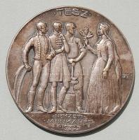 1933. "TESZ Nemzeti Munkahét" nagyalakú ezüstözött Br plakett  szign:Berán Lajos T:2
